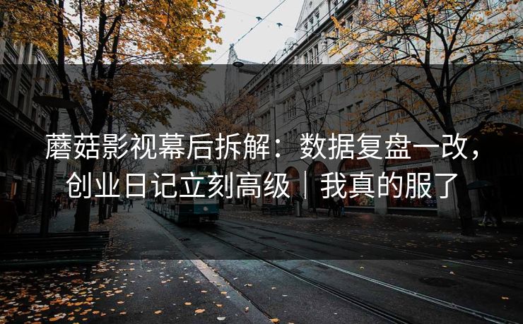 蘑菇影视幕后拆解：数据复盘一改，创业日记立刻高级｜我真的服了