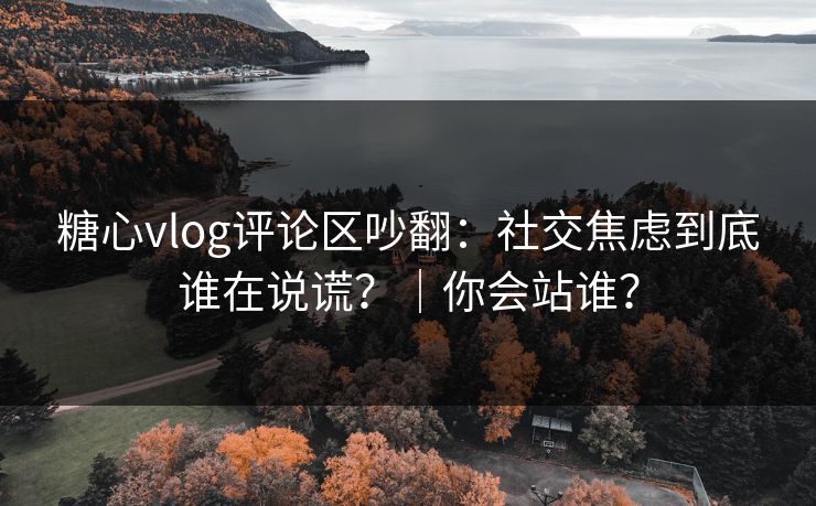 糖心vlog评论区吵翻：社交焦虑到底谁在说谎？｜你会站谁？