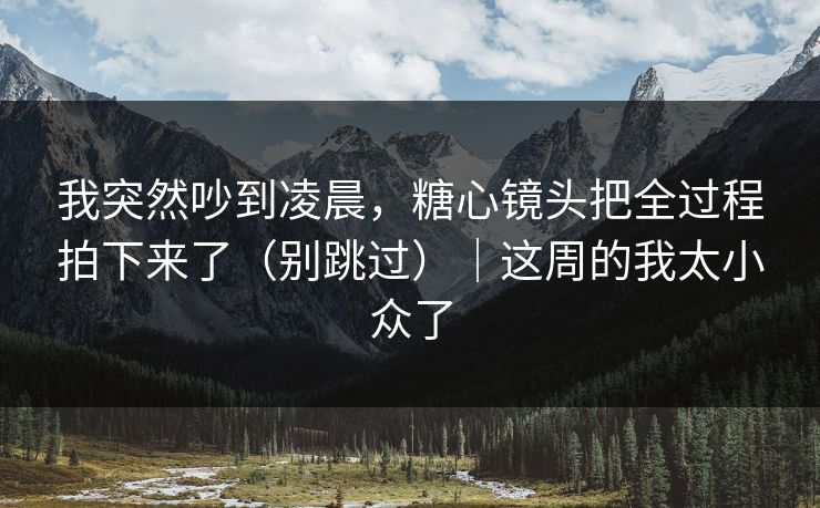 我突然吵到凌晨，糖心镜头把全过程拍下来了（别跳过）｜这周的我太小众了