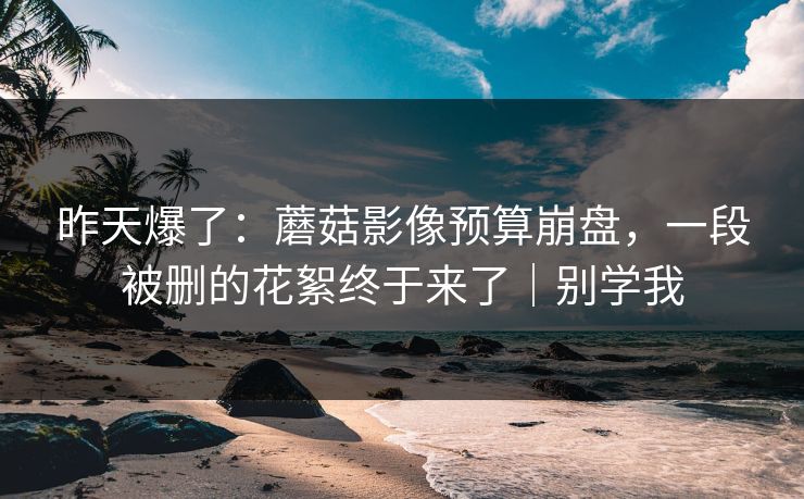 昨天爆了：蘑菇影像预算崩盘，一段被删的花絮终于来了｜别学我