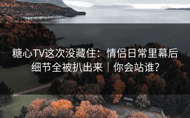 糖心TV这次没藏住:情侣日常里幕后细节全被扒出来|你会站谁? 糖心TV这次没藏住:情侣日常里幕后细节全被扒出来|你会站谁?