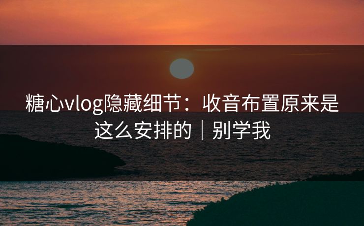 糖心vlog隐藏细节：收音布置原来是这么安排的｜别学我