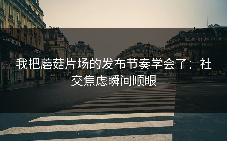 我把蘑菇片场的发布节奏学会了：社交焦虑瞬间顺眼