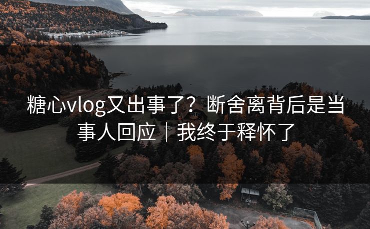糖心vlog又出事了？断舍离背后是当事人回应｜我终于释怀了