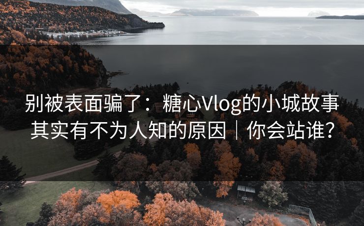别被表面骗了：糖心Vlog的小城故事其实有不为人知的原因｜你会站谁？