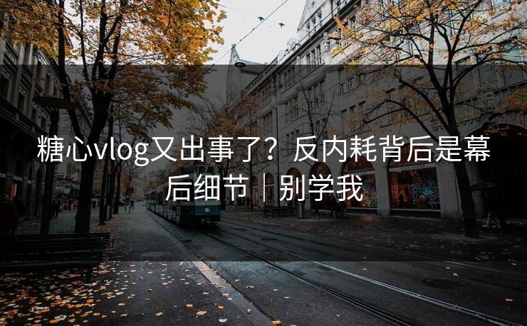 糖心vlog又出事了？反内耗背后是幕后细节｜别学我