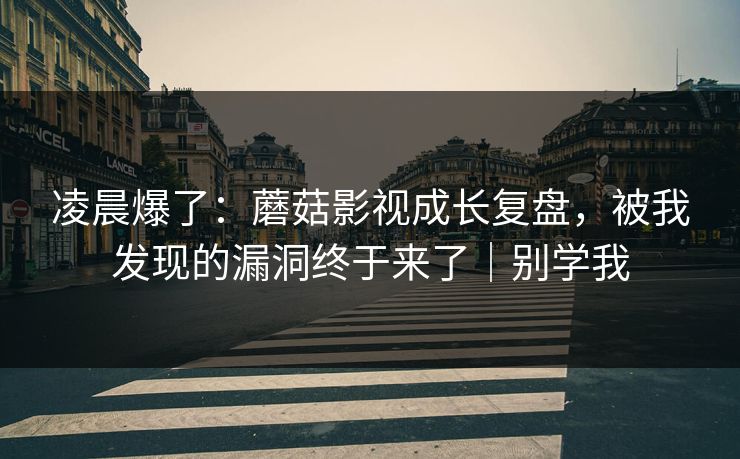凌晨爆了：蘑菇影视成长复盘，被我发现的漏洞终于来了｜别学我